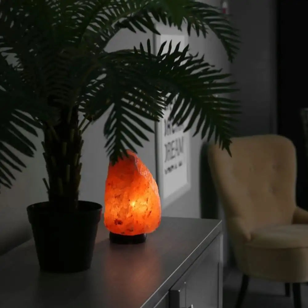 Natural Rock Shape Himalayan Salt Lamp - EarthBased