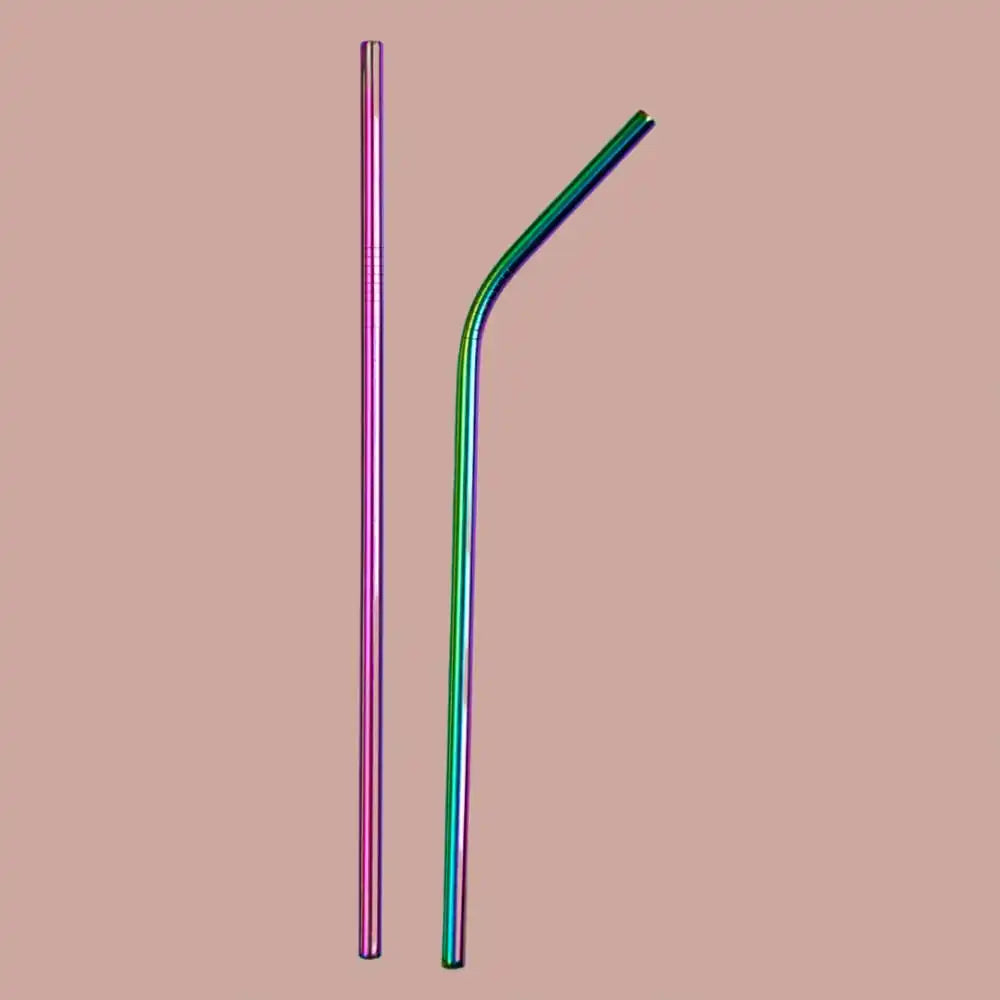 Stainless Steel Straws With Cleaner - Rainbow (1 ST+1 Bend) | ONEarth - EarthBased