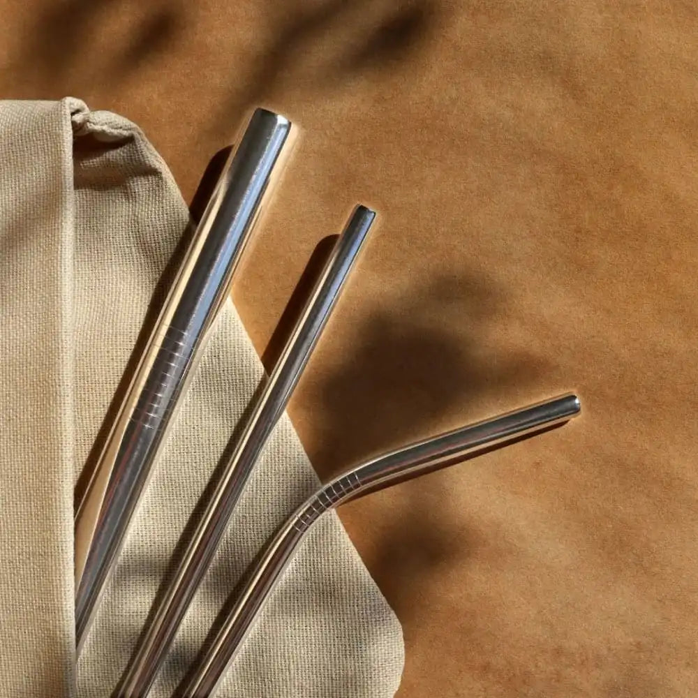 Stainless Steel Straws With Cleaner - Steel (1 ST+1 Bend) - EarthBased