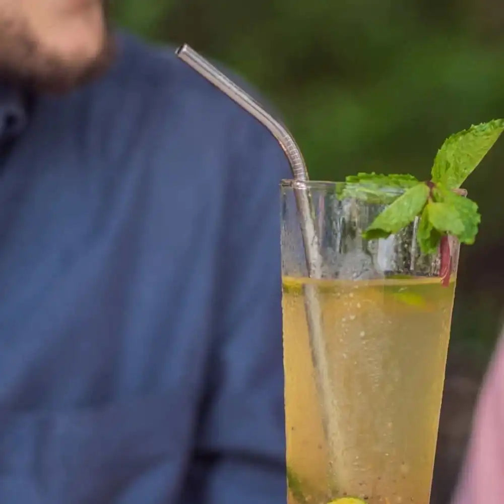 Stainless Steel Straws With Cleaner - Steel (1 ST+1 Bend) - EarthBased