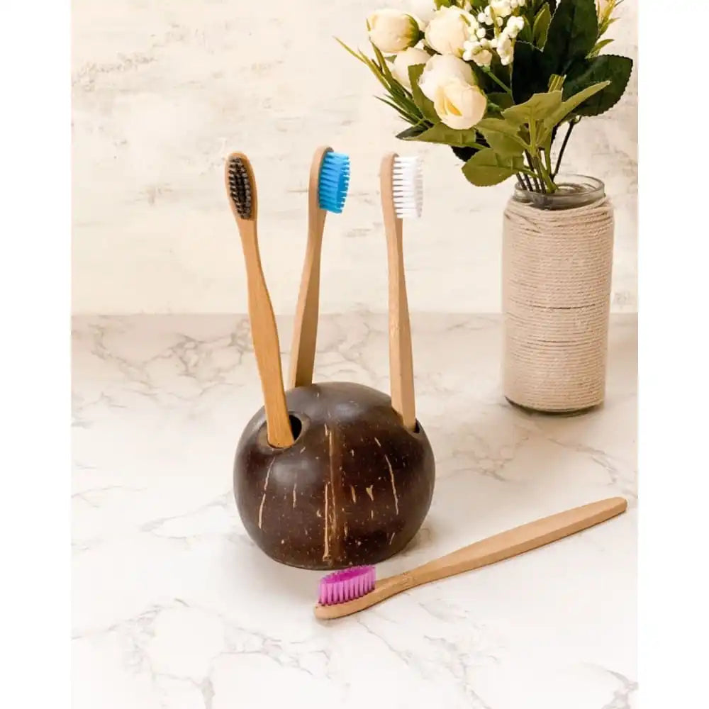Coconut Shell Toothbrush Holder - EarthBased