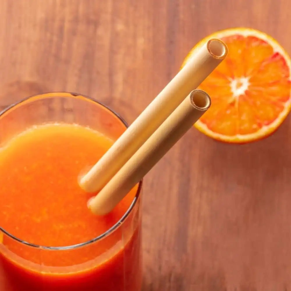 Bamboo Straws with Cleaner - Pack of 2 | Pack of 2 - EarthBased