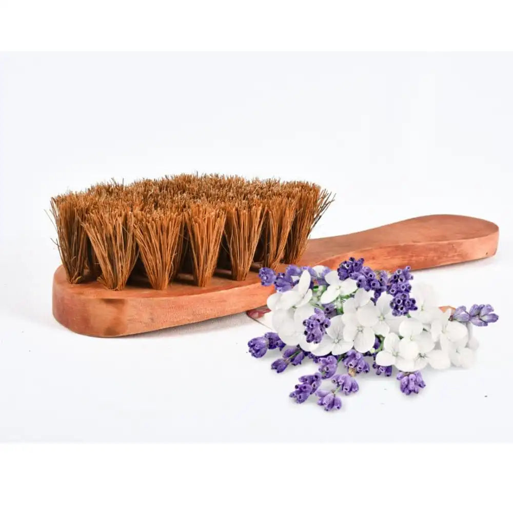 Exfoliating Dry Body Coir Brush - EarthBased