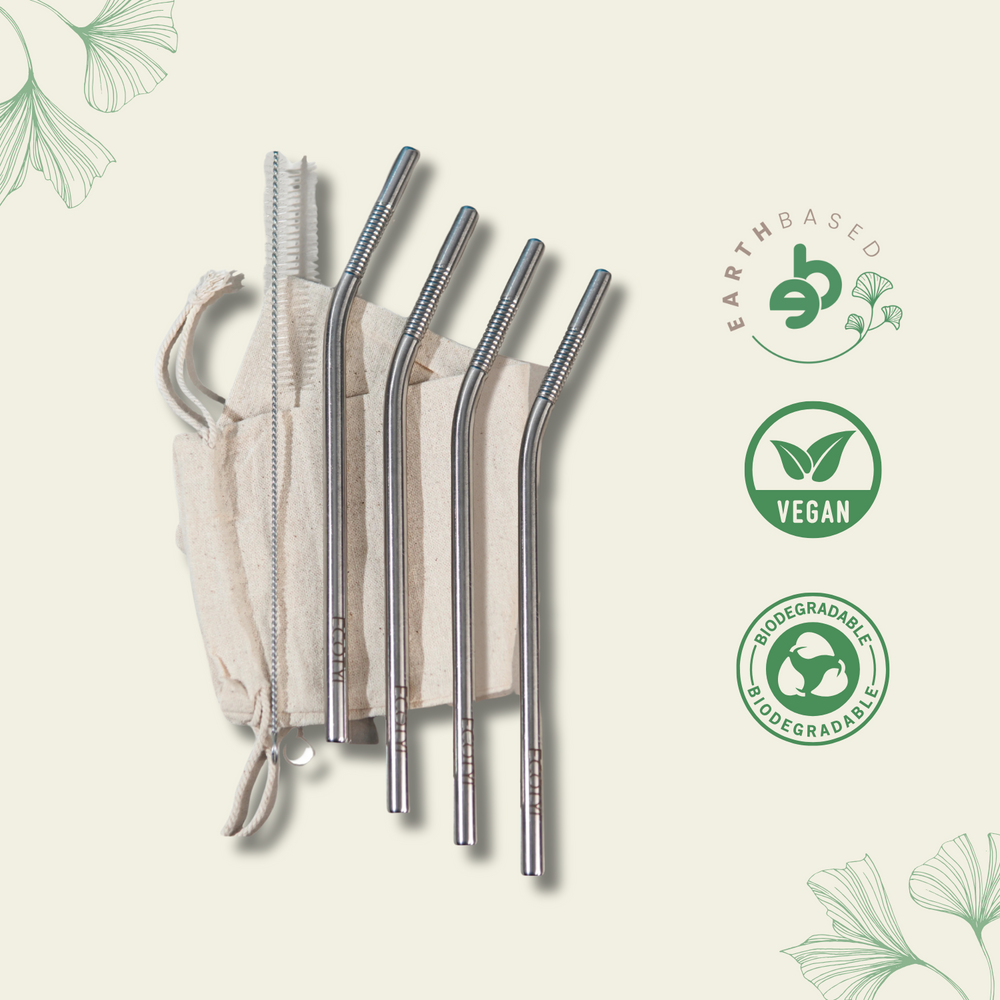 Ecotyl Stainless Steel Straw (Set of 4) + Cleaning Brush - EarthBased