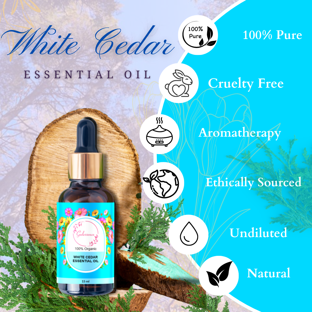 White Cedar Essential Oil | Essential Oil | Gulessence - Gulessence