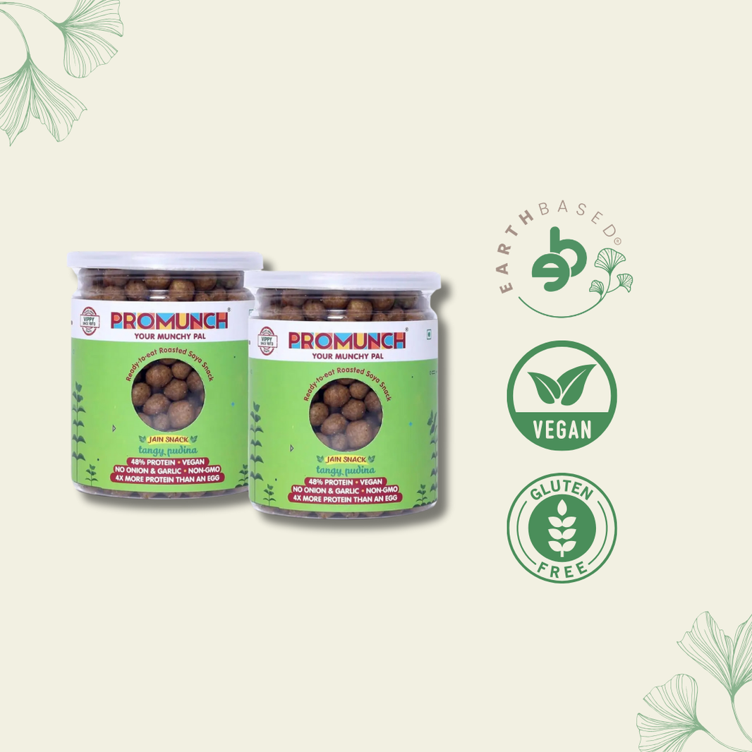 PROMUNCH Roasted Soya Snack | Vegan |Gluten-Free | Pack of 2 Flavour: Tangy Pudina 150 g Each - EarthBased