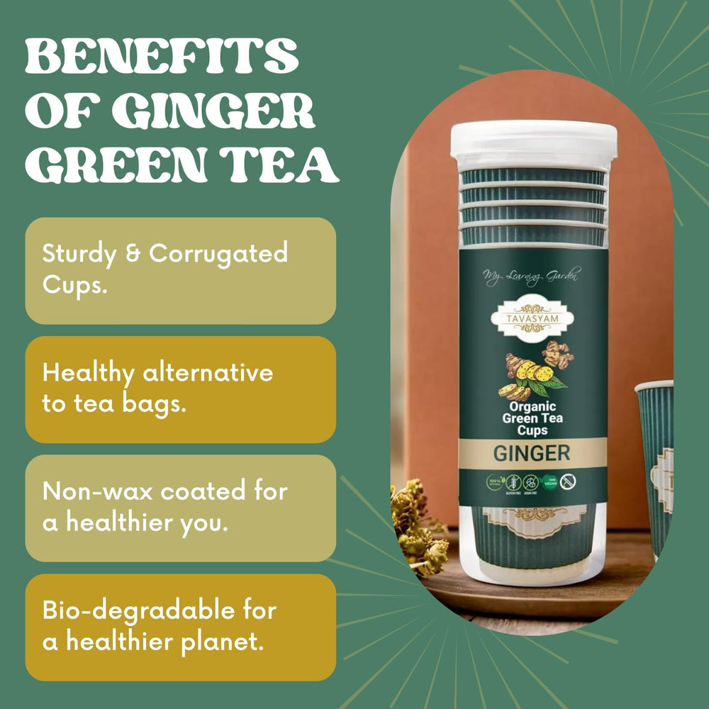 TAVASYAM Ready to Sip Ginger Flavour Green Tea Cup | Green Tea for Weight Loss | Vegan, Gluten Free & Sugar Free | Ginger Flavour | Pre-Filled Tea Cups 200ml | Tea Cups Set of 12 - EarthBased