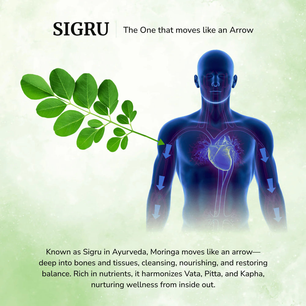 Daivik Moringa Miracle Moringa Powder | 100% Natural | Immunity Booster, Anti Aging, Anti Oxidant | 250 gms - EarthBased