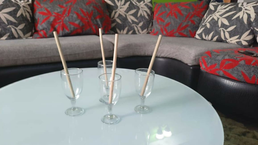 Reusable Bamboo straws Pack of 4 With Straw Cleaner - EarthBased