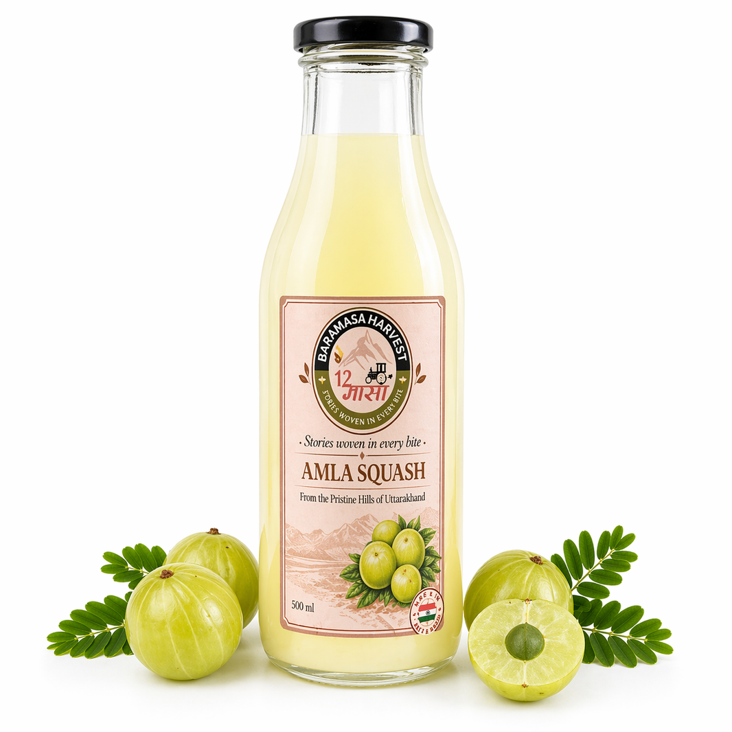 Baramasa Harvest Amla Squash 500 ml glass bottle with fresh amla