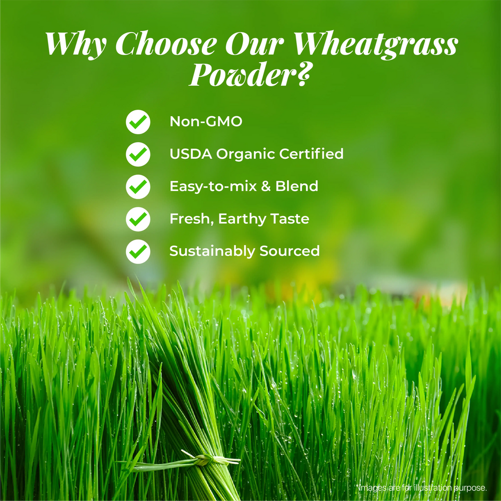 Organic Wheat Grass Powder - 100 gm | Asmita Organic Farms | Pack of 2 - EarthBased