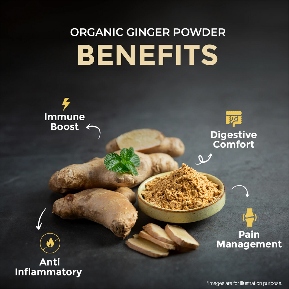 Organic Ginger Powder - 125gm | Pack of 2 - EarthBased