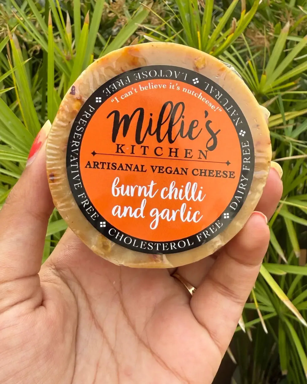 Burnt Red Chili and Garlic Wheel | Millie's Vegan Cheese - EarthBased