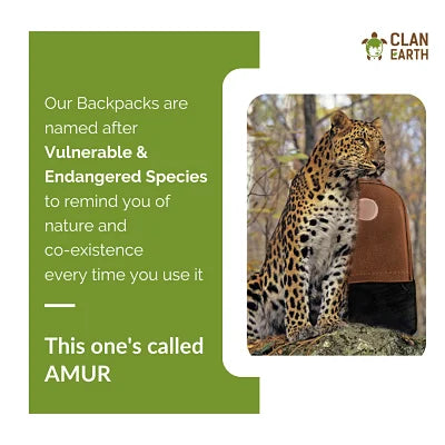 Clan Earth Amur Backpack- Olive Green & Charcoal Black - EarthBased