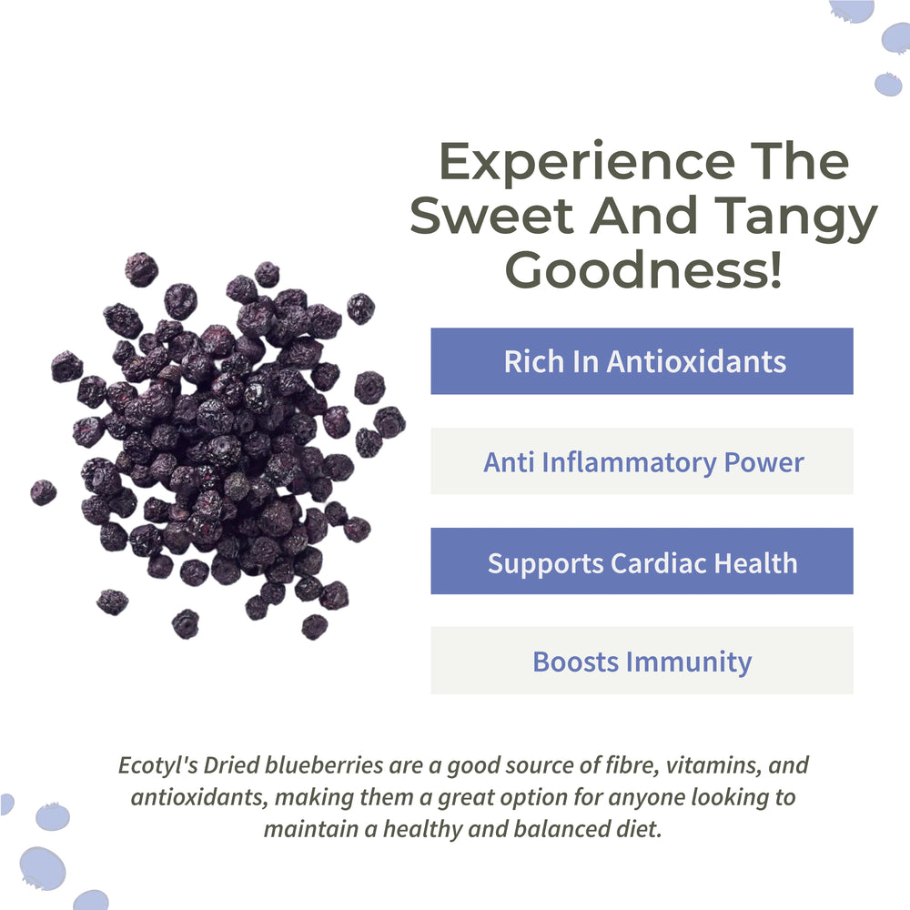 Natural Dried Blueberries | Ecotyl - EarthBased