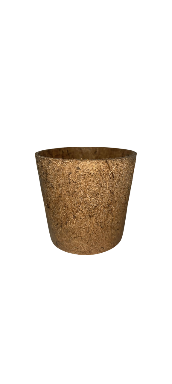 Seed Paper Plantable Rakhi (Assorted) - EarthBased