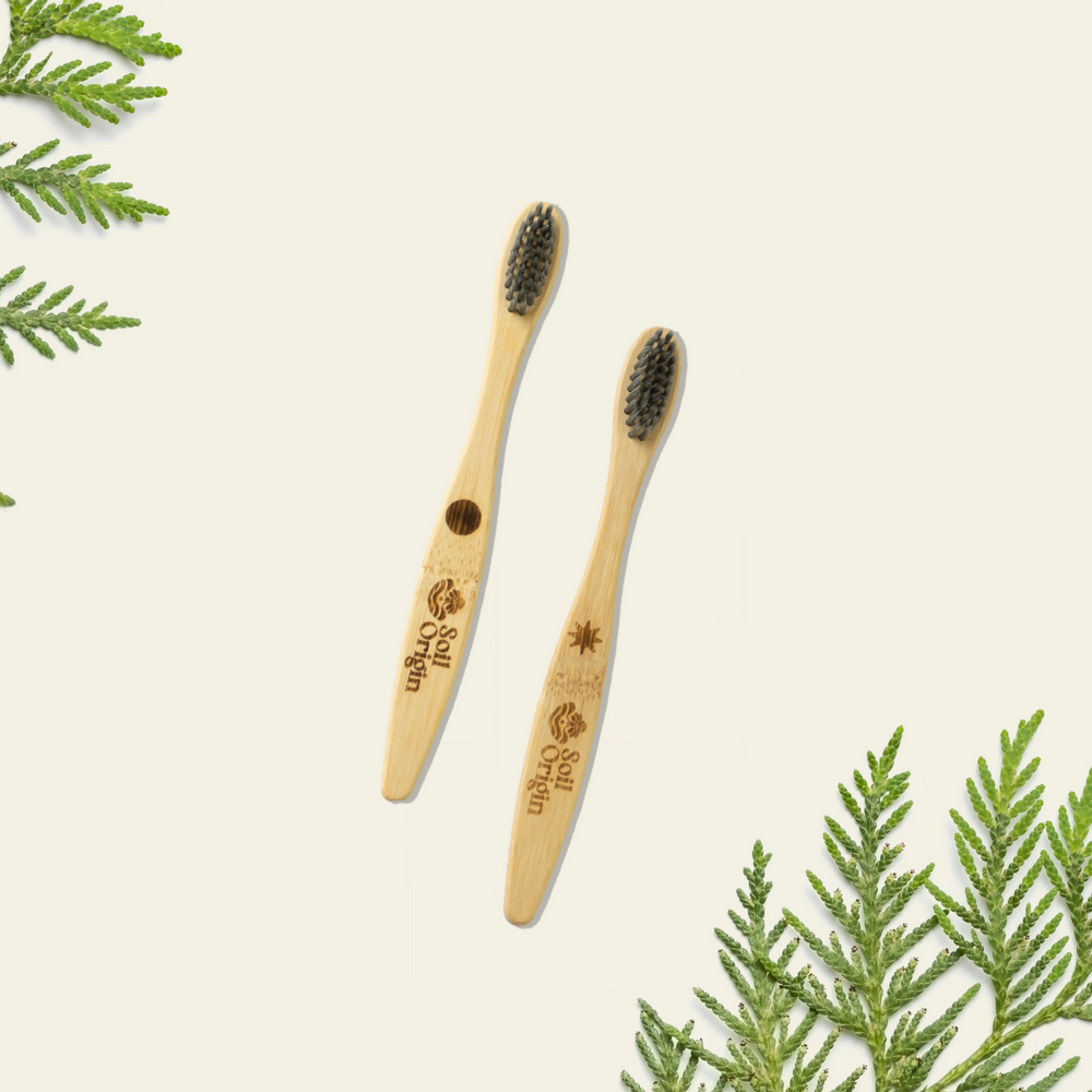 Kids Bamboo Brush (Charcol Bristles) - Set of 2 | Pack of 3 - EarthBased