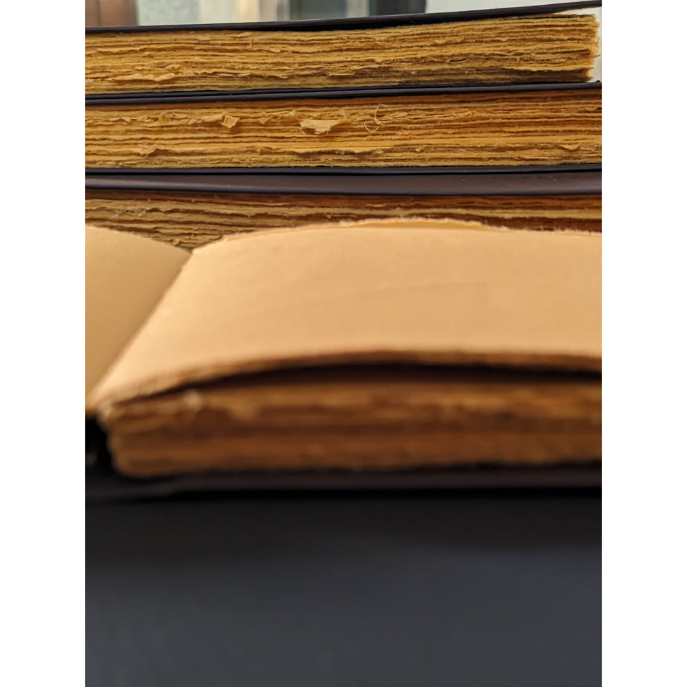 Landscape Leather like Cruelty free Journal - EarthBased