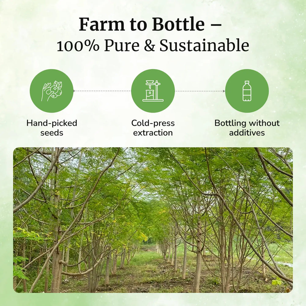 Daivik Moringa Seeds Cold Pressed Oil | 100% Natural | Hair Growth & Skin Care | 30 ml - EarthBased