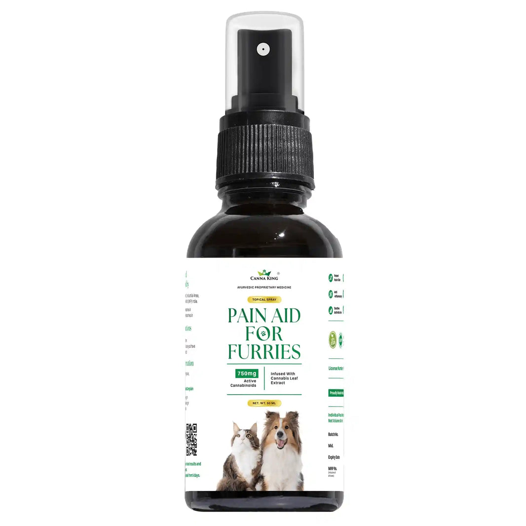 Pain Aid For Furries (Topical) 50 ml By Cannaking - EarthBased