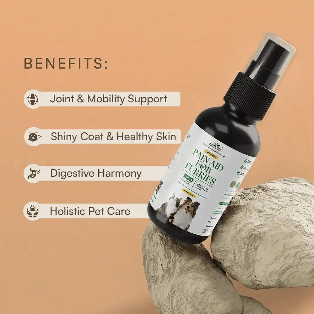 Pain Aid For Furries (Topical) 50 ml By Cannaking - EarthBased