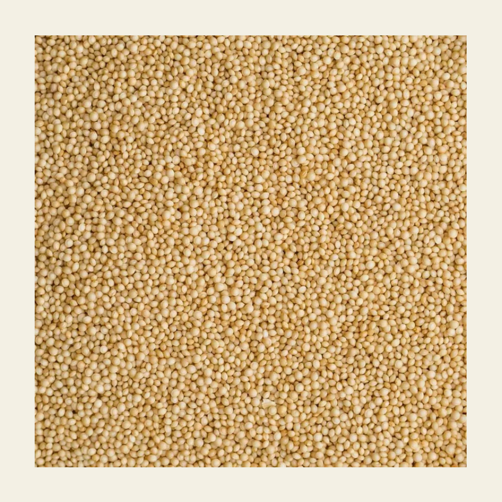 Rajgira (Amaranth) - Whole Grain | Pack of 2 | Soil Origin - EarthBased