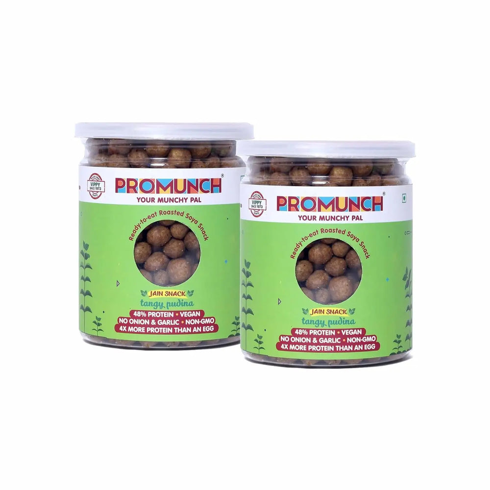 PROMUNCH Roasted Soya Snack | Vegan |Gluten-Free | Pack of 2 Flavour: Tangy Pudina 150 g Each - EarthBased