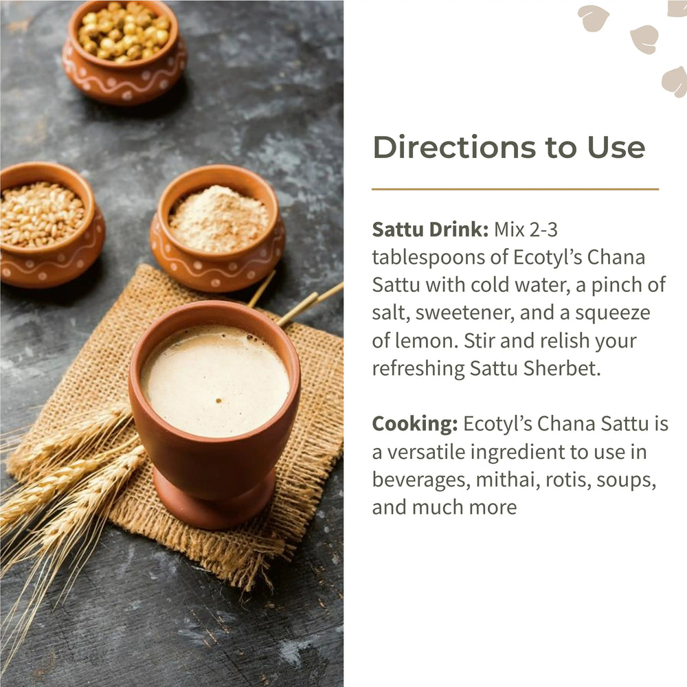 Ecotyl Sattu Powder | Roasted Gram Flour | Plant Based Protein - EarthBased