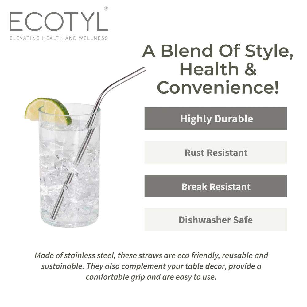 Ecotyl Stainless Steel Straw (Set of 4) + Cleaning Brush - EarthBased