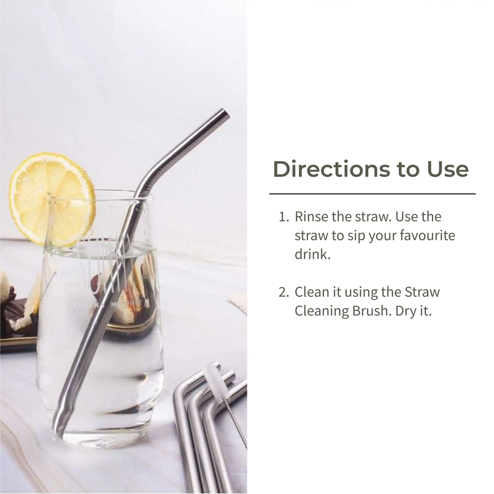 Ecotyl Stainless Steel Straw (Set of 4) + Cleaning Brush - EarthBased