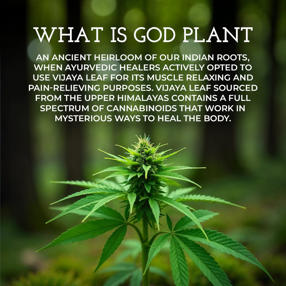 Vijaya Leaf Pain Relief Oil - EarthBased