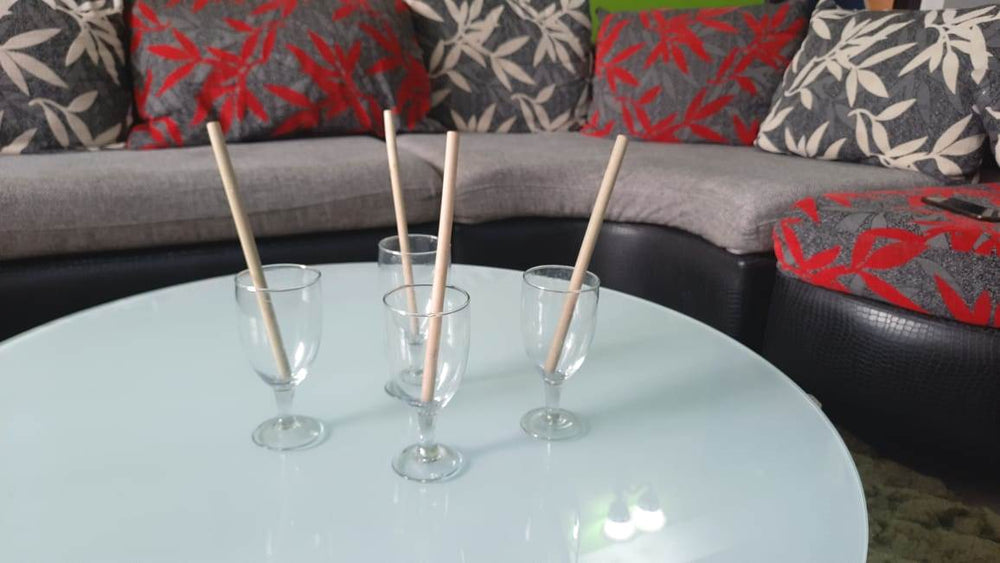 Reusable Bamboo straws Pack of 4 With Straw Cleaner - EarthBased