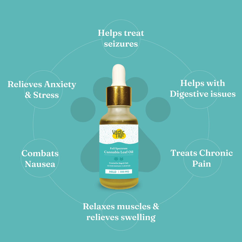 Vedic Tails Full Spectrum Cannabis leaf extract - EarthBased