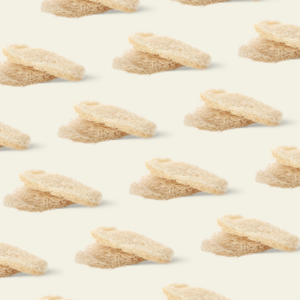 Natural Body Loofah - Set of 2 | Pack of 2 - EarthBased