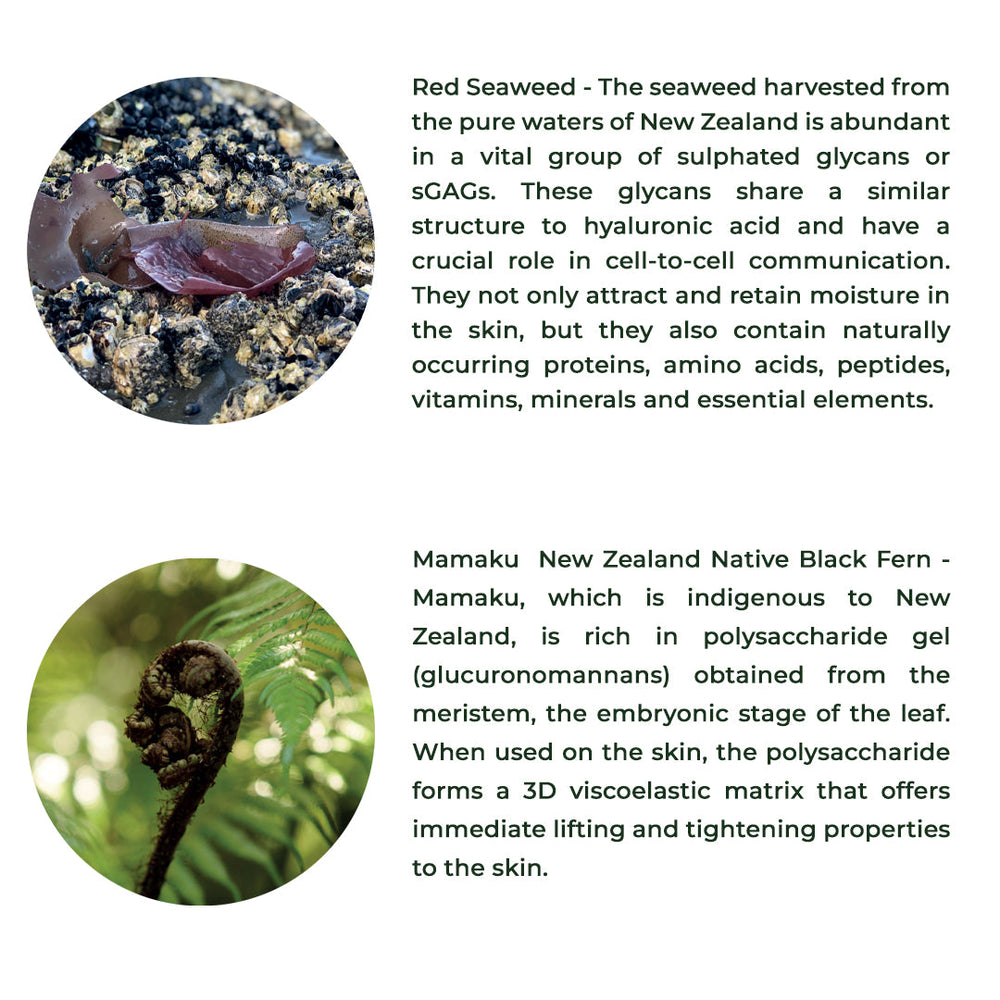 Red Seaweed + Mamaku Hydration Cream | Natural Face Cream for Glowing Skin - EarthBased