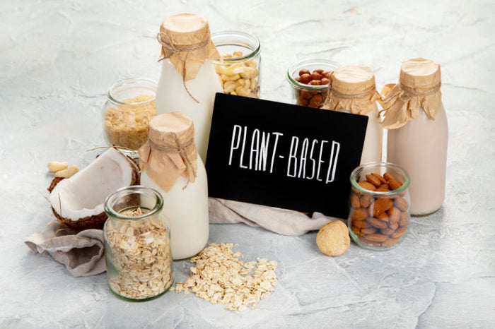 Why Choose Vegan Milk? Exploring the Top Benefits of Plant-Based Alternatives - Earthbased