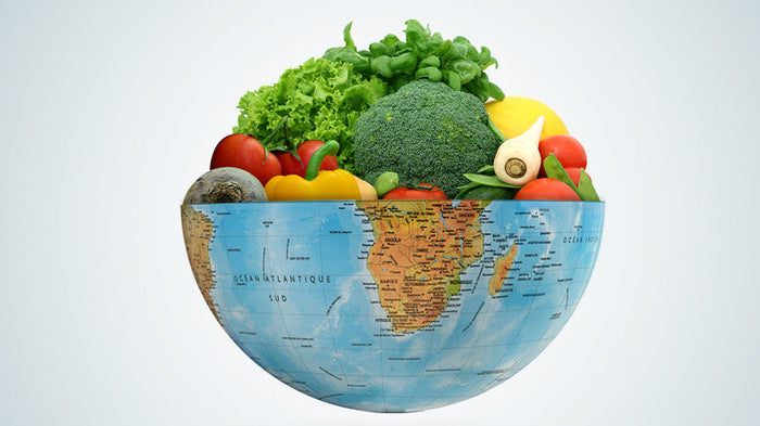 Why Veganism Plays a Role in Combating Desertification-Earthbased