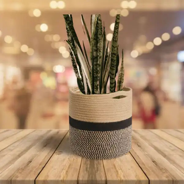 Black Jute Rope Baskets / Planters - EarthBased 