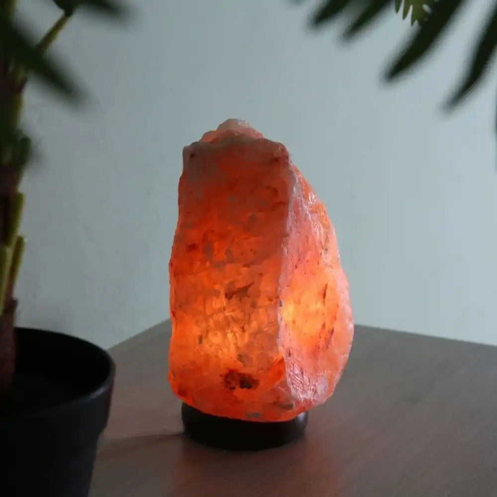 Natural Rock Shape Himalayan Salt Lamp - EarthBased 