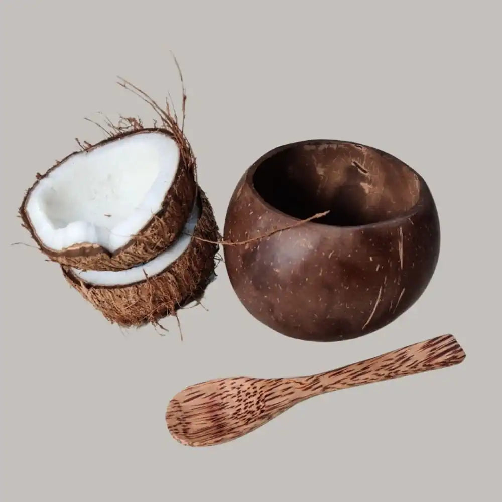 Small Coconut Shell Bowl with spoon - Pack 2 - EarthBased 
