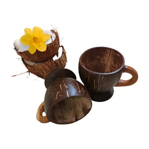 Coconut Tea/ Coffee Mug (pack of 2) - EarthBased 