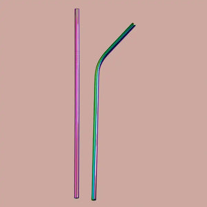 Stainless Steel Straws With Cleaner - Rainbow (1 ST+1 Bend) | ONEarth - EarthBased 