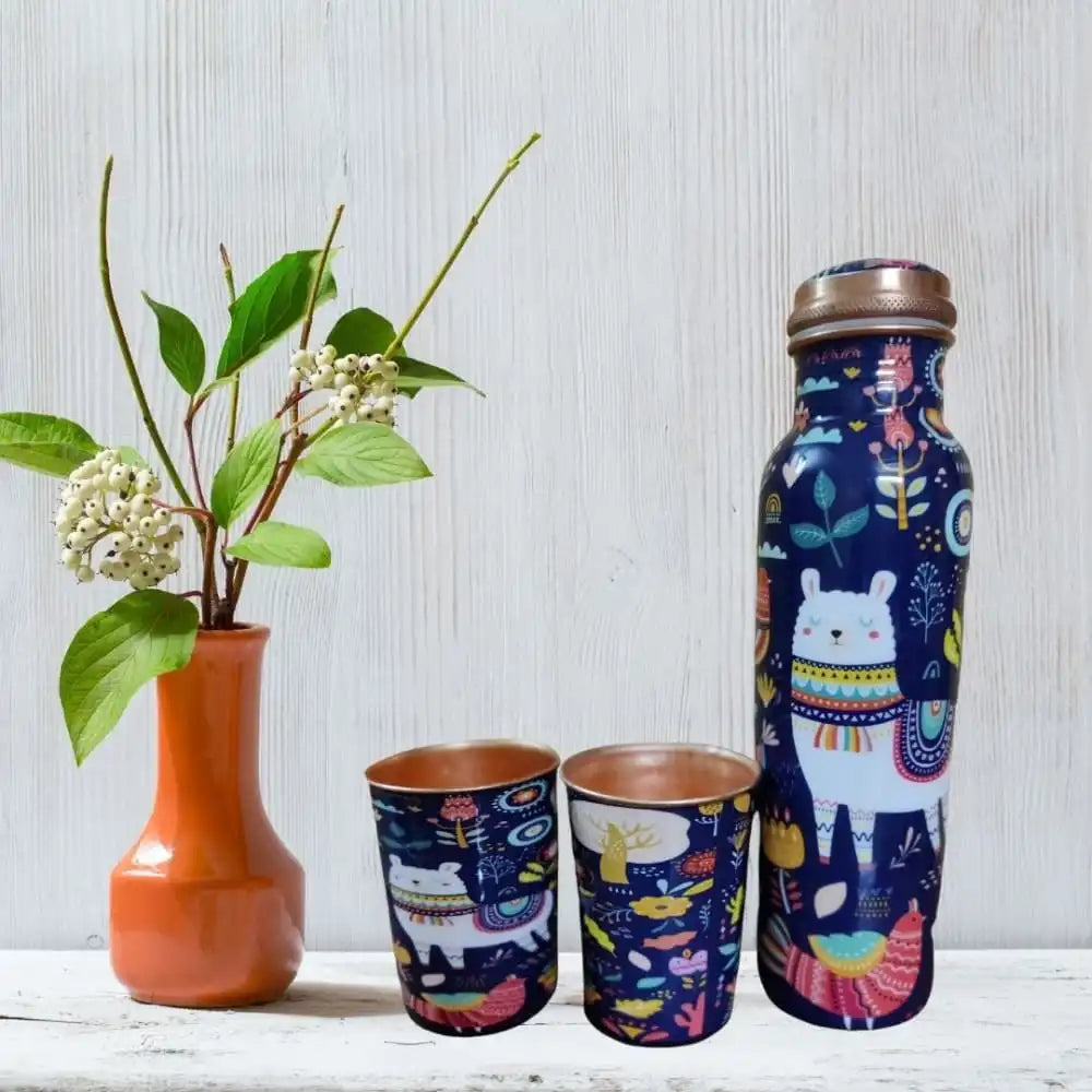 Copper Bottle Gift Set (with cleaning brush) - EarthBased 