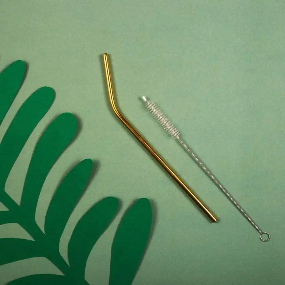 Brass Straws With Cleaner - Pack of 2 (Brass) ST+Bend - EarthBased 