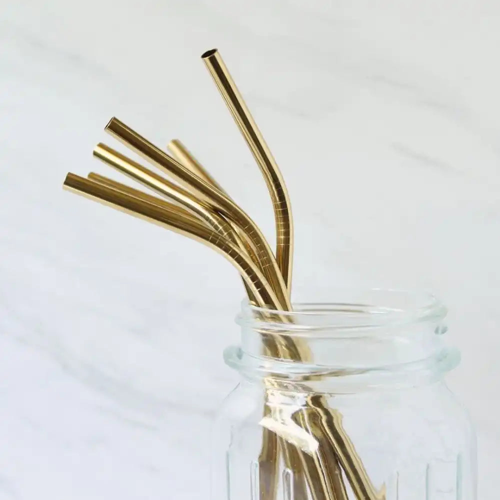 Copper Straws With Cleaner - Pack of 2 (Copper) Straight - EarthBased 
