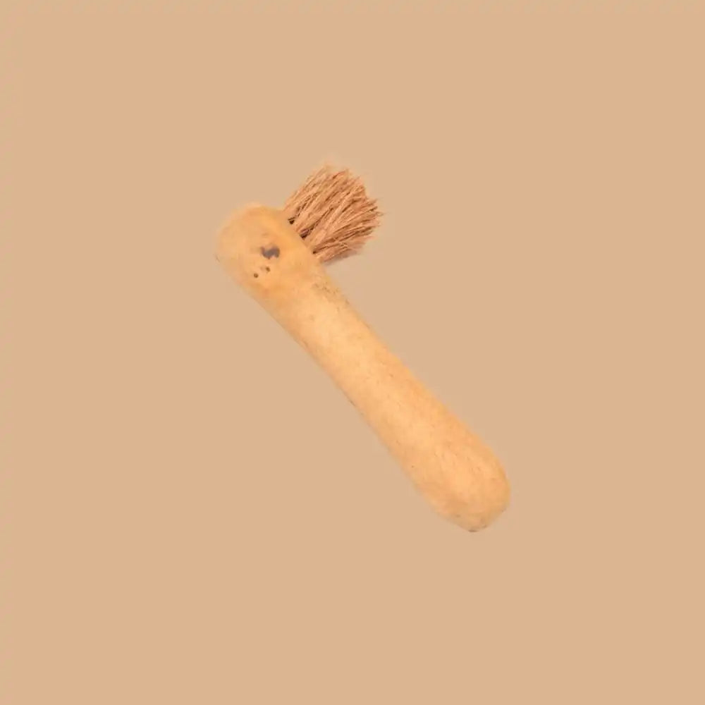 Jar Cleaning Coir Brush - EarthBased 