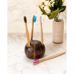 Coconut Shell Toothbrush Holder - EarthBased 