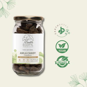 Ecotyl | Amla Candy - Chatpata - EarthBased 