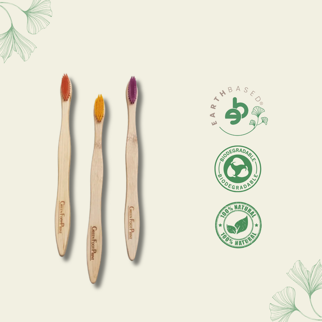 Natural Bamboo Toothbrush (Assorted)- pack of 2 - EarthBased 