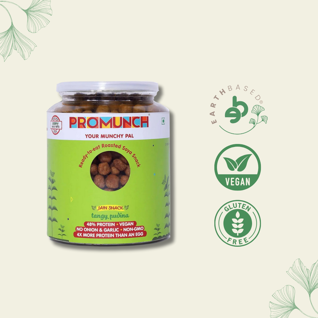 PROMUNCH Roasted Soya Snack | Vegan |Gluten-Free | Pack of 1 Flavour: Tangy Pudina 300 g - EarthBased 